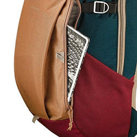 Quechua Hiking Backpack 20L NH100 (Brown)